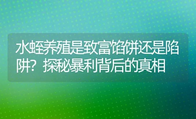 水蛭养殖是致富馅饼还是陷阱？探秘暴利背后的真相 | 动物养殖百科