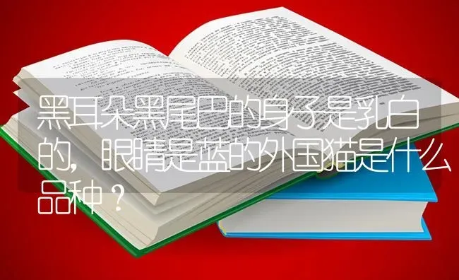 黑耳朵黑尾巴的身子是乳白的，眼睛是蓝的外国猫是什么品种？ | 动物养殖问答