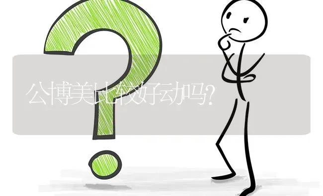 公博美比较好动吗？ | 动物养殖问答