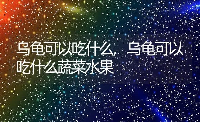 乌龟可以吃什么,乌龟可以吃什么蔬菜水果 | 宠物百科知识