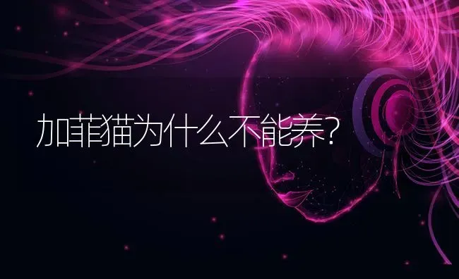 加菲猫为什么不能养？ | 动物养殖问答