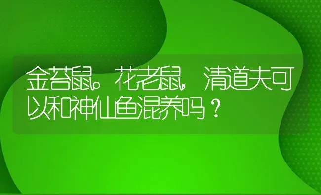 冷水海水观赏鱼有哪些？ | 鱼类宠物饲养