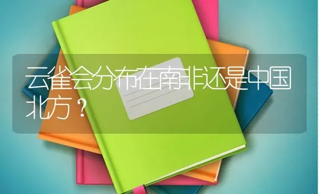 云雀会分布在南非还是中国北方？ | 动物养殖问答