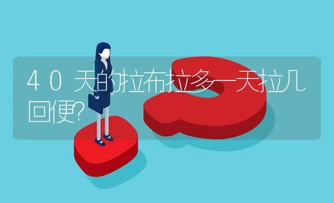 萨摩耶和西施能生出来什么？ | 动物养殖问答