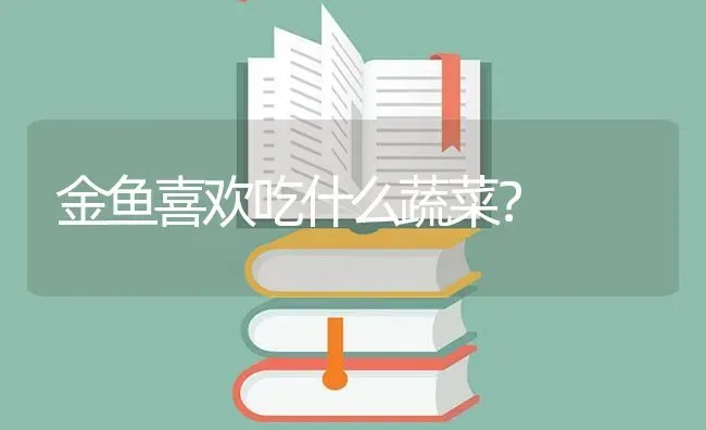 金鱼喜欢吃什么蔬菜？ | 鱼类宠物饲养