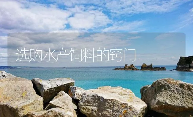 选购水产饲料的窍门 | 海水养殖技术