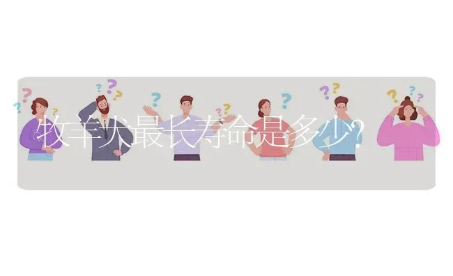 牧羊犬最长寿命是多少？ | 动物养殖问答