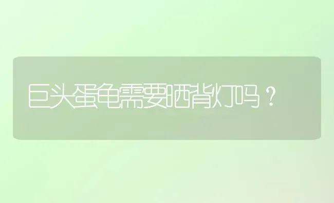 巨头蛋龟需要晒背灯吗？ | 动物养殖问答