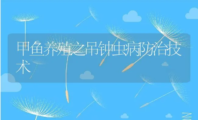 甲鱼养殖之吊钟虫病防治技术 | 动物养殖学堂