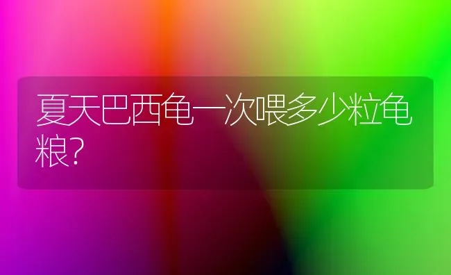 夏天巴西龟一次喂多少粒龟粮？ | 动物养殖问答