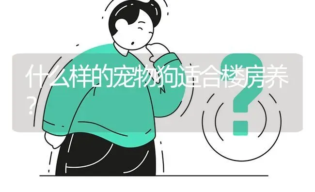 什么样的宠物狗适合楼房养？ | 动物养殖问答