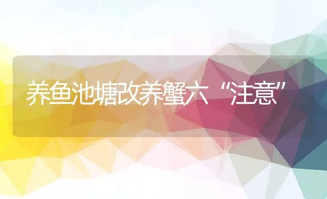 养鱼池塘改养蟹六“注意” | 动物养殖饲料