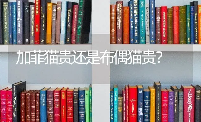 公金毛好听顺口名字？ | 动物养殖问答