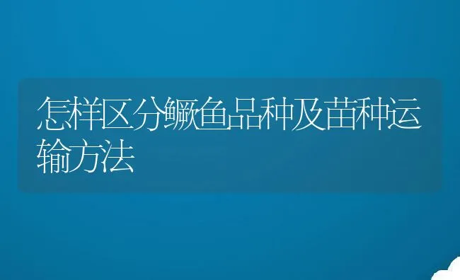 怎样区分鳜鱼品种及苗种运输方法 | 动物养殖饲料