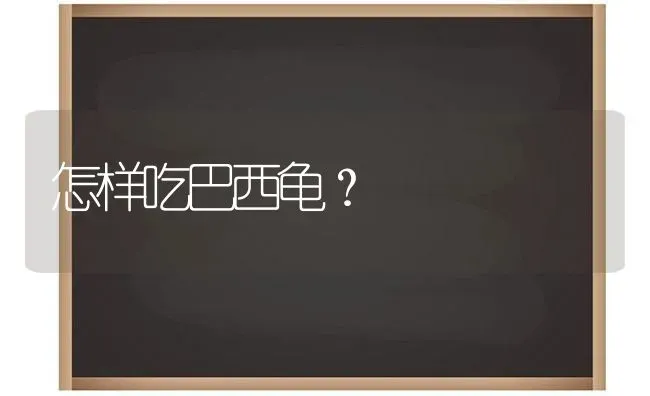 怎样吃巴西龟？ | 动物养殖问答