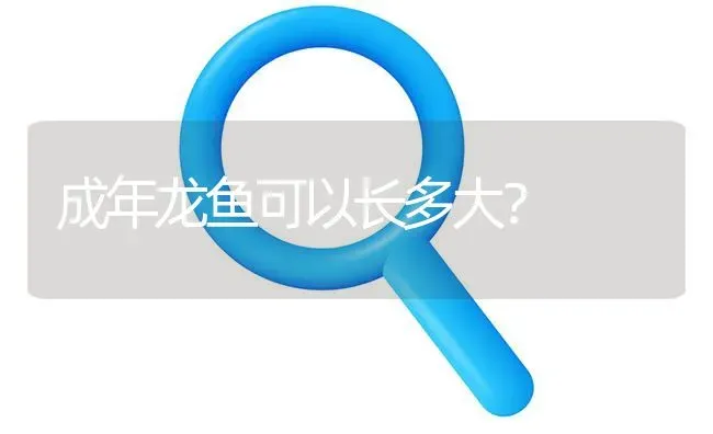 成年龙鱼可以长多大？ | 鱼类宠物饲养