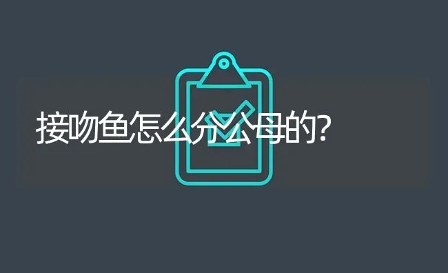 接吻鱼怎么分公母的？ | 鱼类宠物饲养