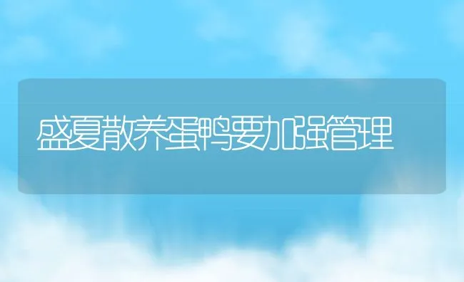 盛夏散养蛋鸭要加强管理 | 动物养殖饲料