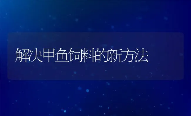 解决甲鱼饲料的新方法 | 水产养殖知识