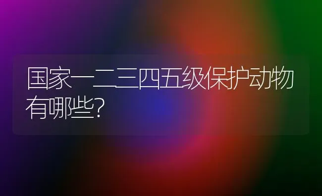 狗拉稀但是精神挺好怎么回事？ | 动物养殖问答