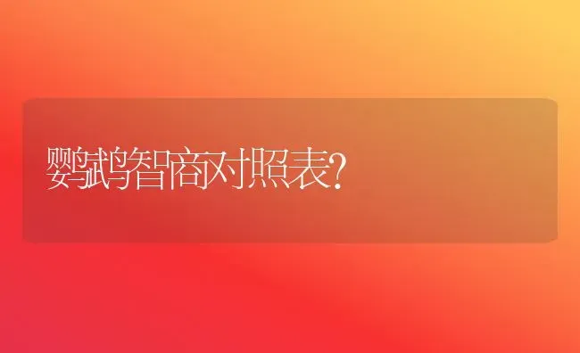 比熊智商？ | 动物养殖问答