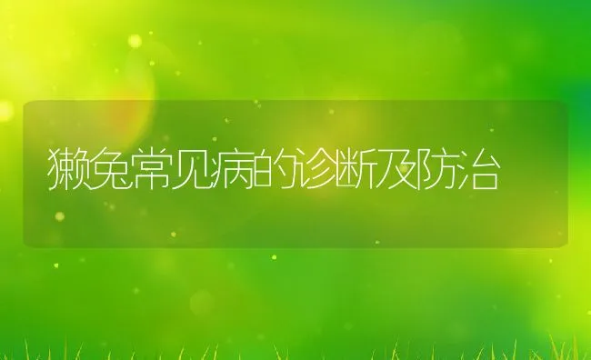 <font color=#FF0000>11月份畜牧农事要点</font> | 动物养殖学堂