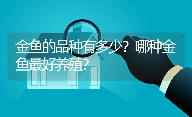 金鱼的品种有多少？哪种金鱼最好养殖？ | 鱼类宠物饲养