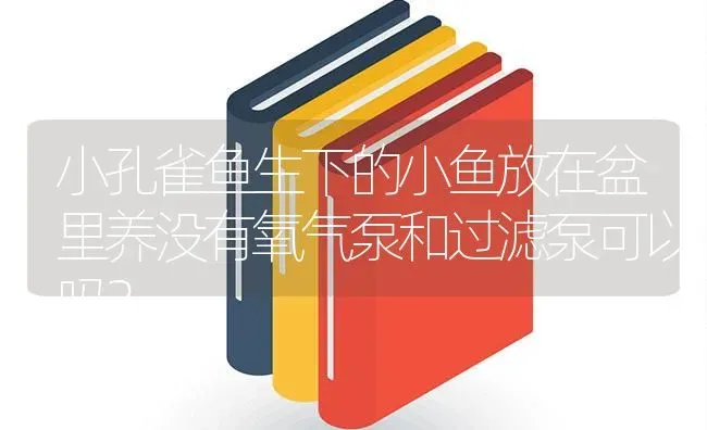 小孔雀鱼生下的小鱼放在盆里养没有氧气泵和过滤泵可以吗？ | 鱼类宠物饲养