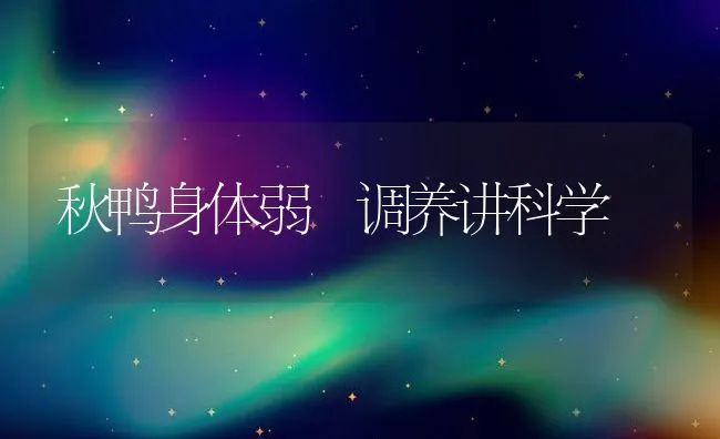 秋鸭身体弱 调养讲科学 | 动物养殖饲料