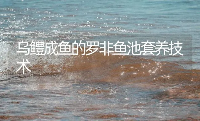 乌鳢成鱼的罗非鱼池套养技术 | 海水养殖技术