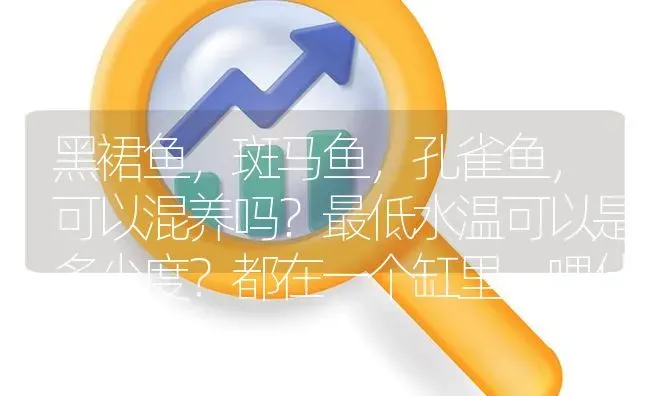 黑裙鱼，斑马鱼，孔雀鱼，可以混养吗？最低水温可以是多少度？都在一个缸里，喂什么食好？ | 鱼类宠物饲养