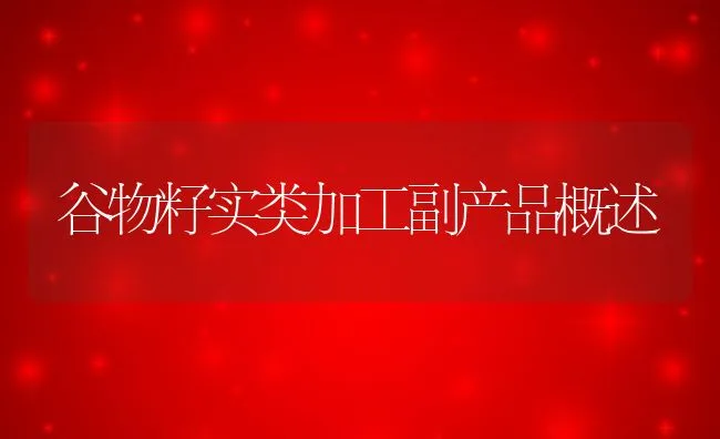 谷物籽实类加工副产品概述 | 动物养殖饲料