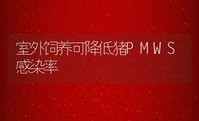 室外饲养可降低猪PMWS感染率 | 动物养殖饲料