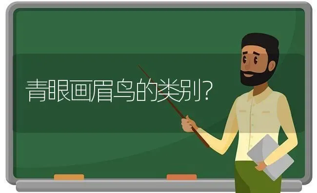 青眼画眉鸟的类别？ | 动物养殖问答