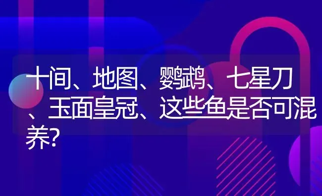 十间、地图、鹦鹉、七星刀、玉面皇冠、这些鱼是否可混养？ | 鱼类宠物饲养