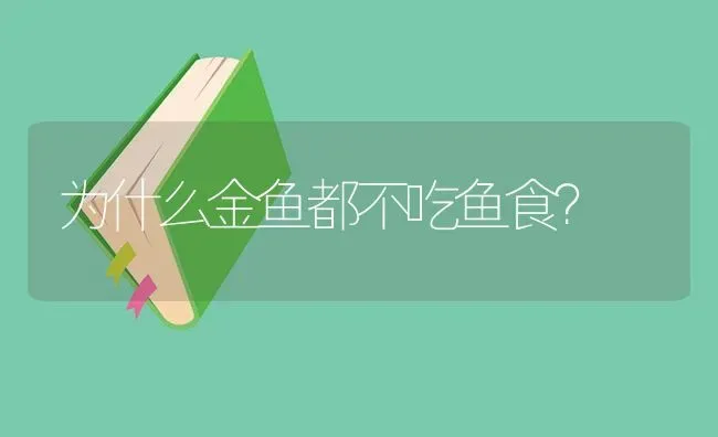 为什么金鱼都不吃鱼食？ | 鱼类宠物饲养