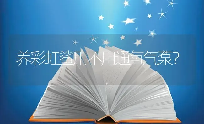 养彩虹鲨用不用通氧气泵？ | 鱼类宠物饲养