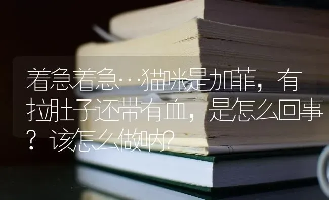 着急着急…猫咪是加菲，有拉肚子还带有血，是怎么回事?该怎么做呐？ | 动物养殖问答