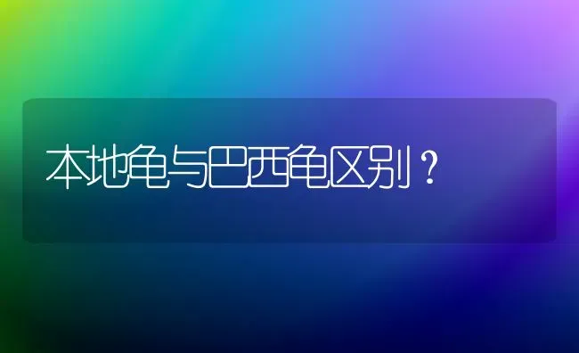 本地龟与巴西龟区别？ | 动物养殖问答