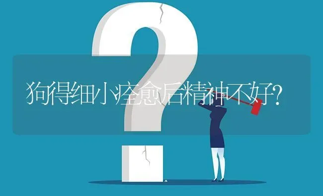 狗得细小痊愈后精神不好？ | 动物养殖问答