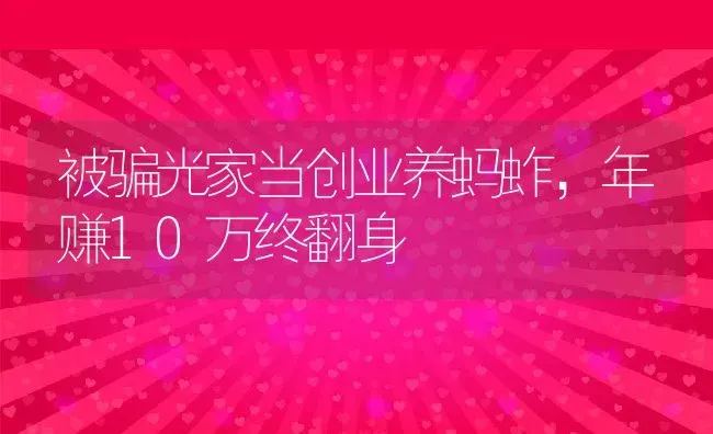 被骗光家当创业养蚂蚱，年赚10万终翻身 | 动物养殖百科