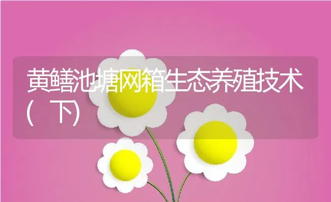 黄鳝池塘网箱生态养殖技术(下) | 动物养殖饲料