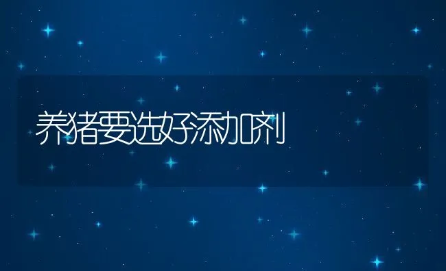 预混辅料发展难题及解决思路 | 动物养殖学堂