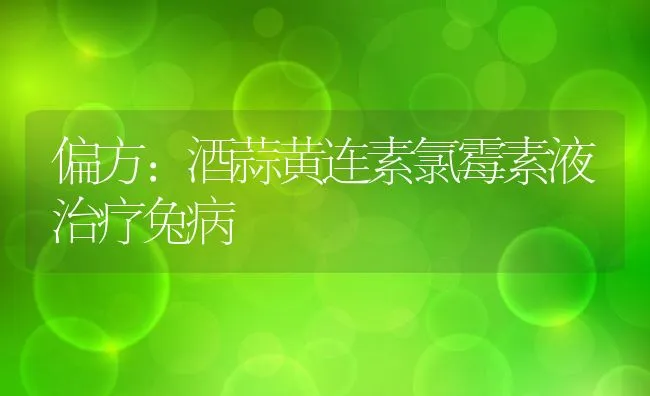 偏方：酒蒜黄连素氯霉素液治疗兔病 | 动物养殖学堂