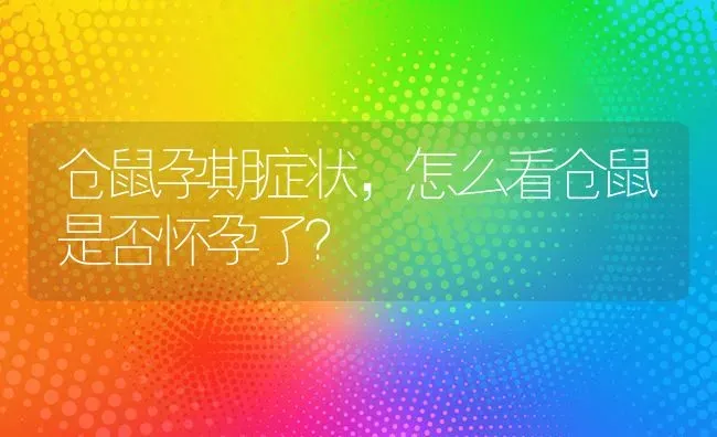 仓鼠孕期症状，怎么看仓鼠是否怀孕了？ | 动物养殖问答