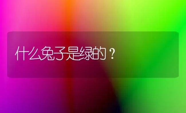 什么兔子是绿的？ | 动物养殖问答