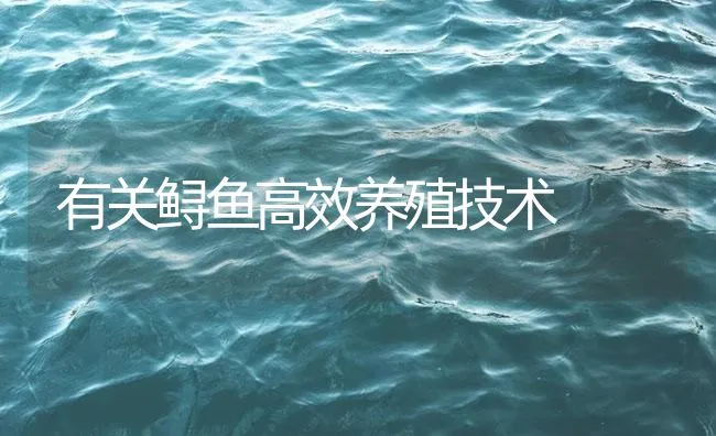 有关鲟鱼高效养殖技术 | 海水养殖技术