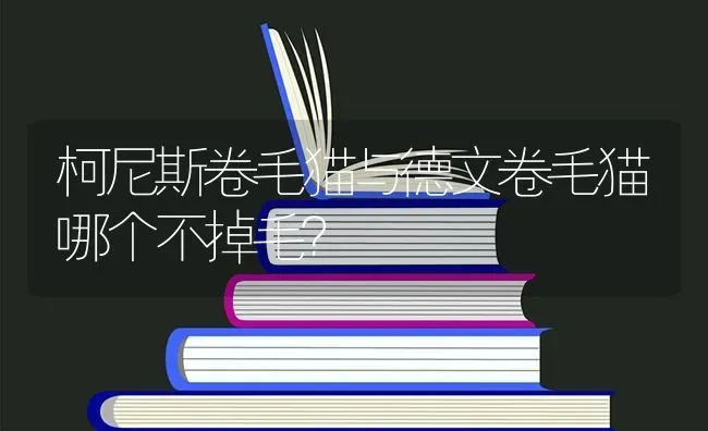 柯尼斯卷毛猫与德文卷毛猫哪个不掉毛？ | 动物养殖问答