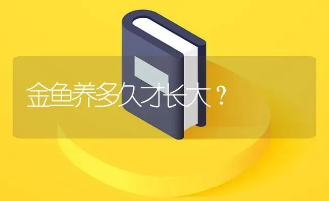 金鱼养多久才长大？ | 鱼类宠物饲养