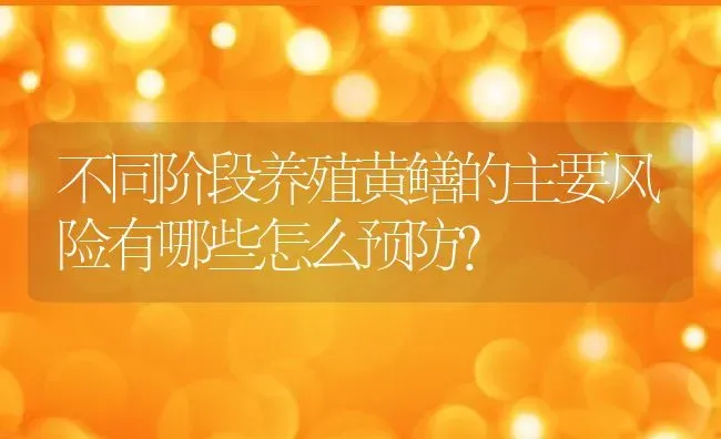 不同阶段养殖黄鳝的主要风险有哪些怎么预防？ | 动物养殖百科